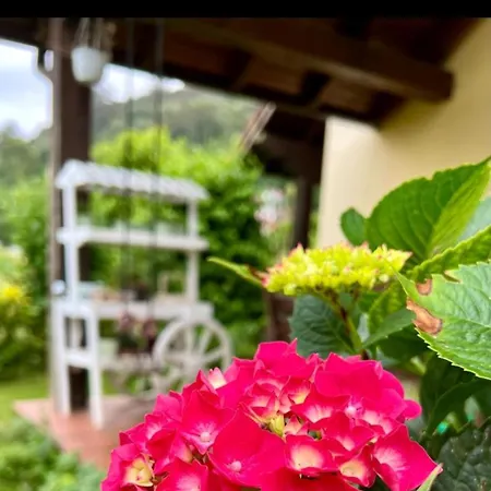 El Rincon De Marismas *
