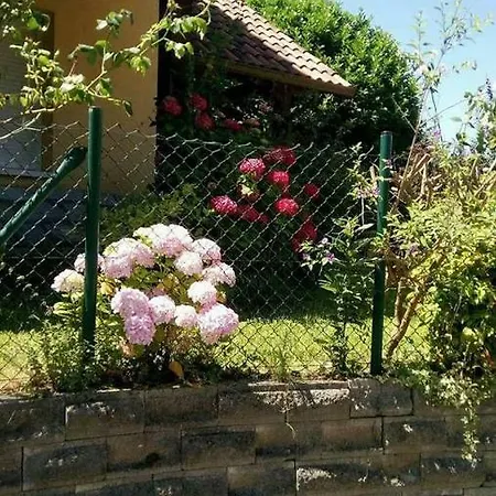 El Rincón De Marismas Carasa