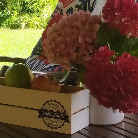 別荘 El Rincon De Marismas Carasa